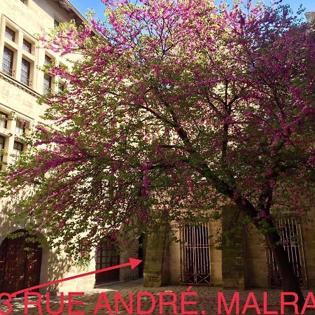 Appartement A 50 M De La Place Aux Herbes Uzes Ngoại thất bức ảnh