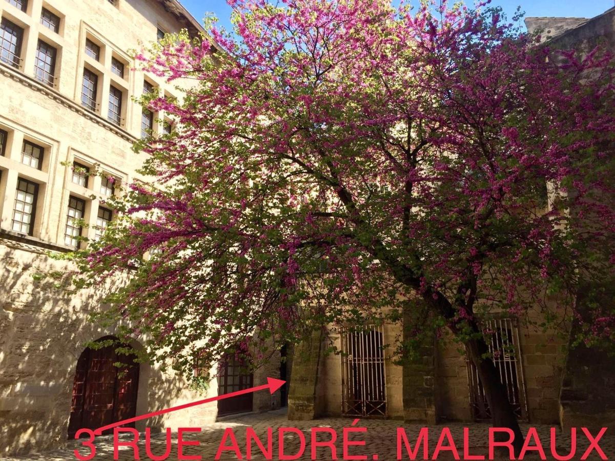 Appartement A 50 M De La Place Aux Herbes Uzes Ngoại thất bức ảnh