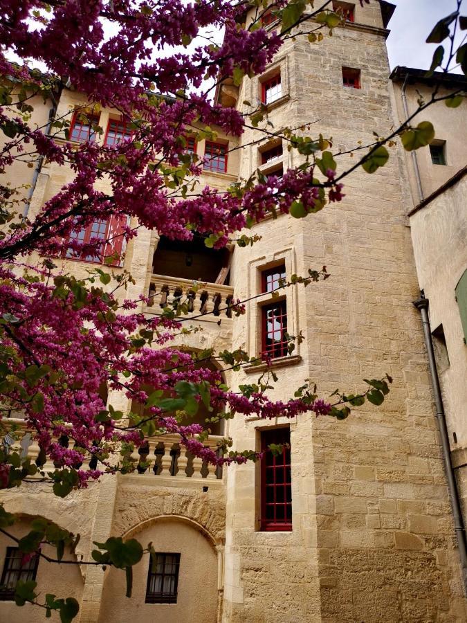 Appartement A 50 M De La Place Aux Herbes Uzes Ngoại thất bức ảnh